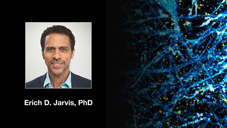 Cultural Influences on the Way to Do and Interpret Our Science