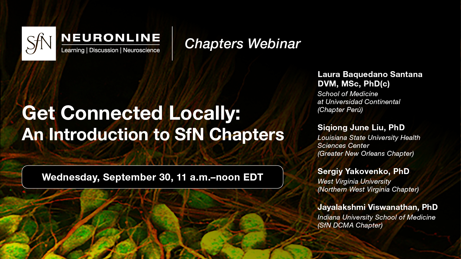 Chapters Webinar