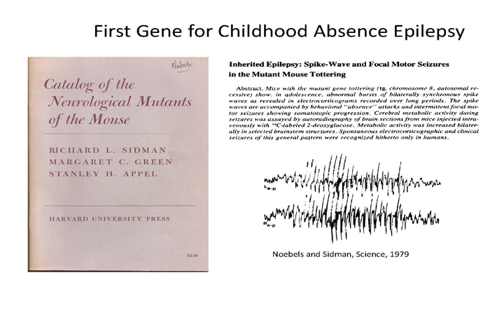 First Gene for Childhood Absence Epilepsy