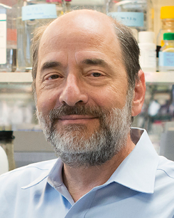 Headshot of Michael Greenberg