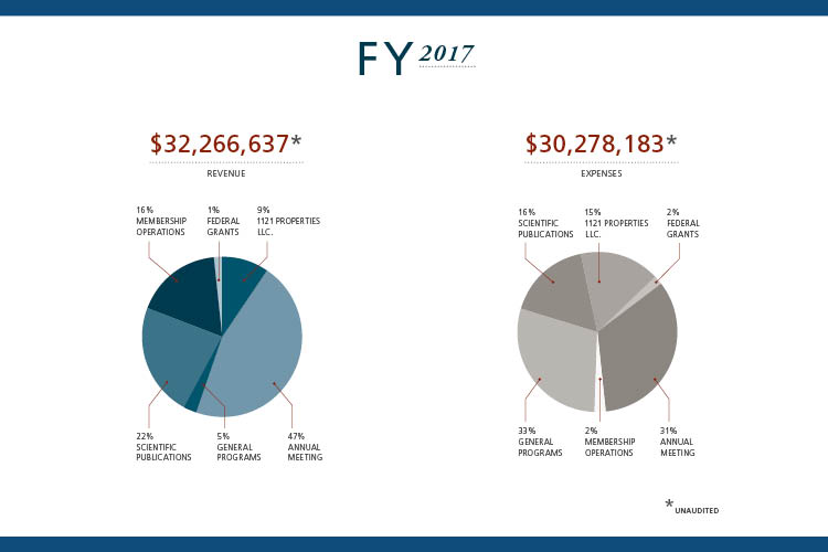 FY 2017 financial highlights pie charts