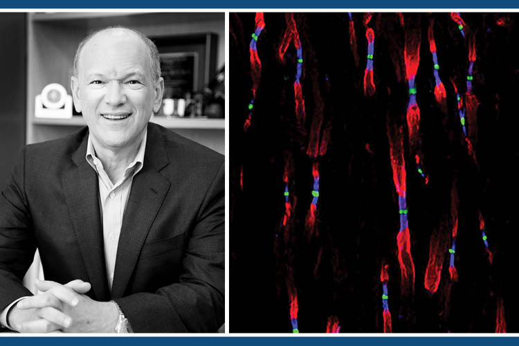 SfN President Eric Nestler