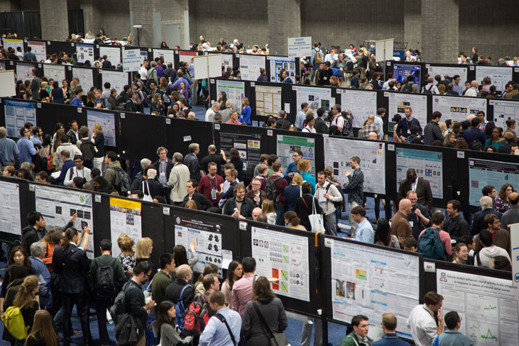 Poster Sessions