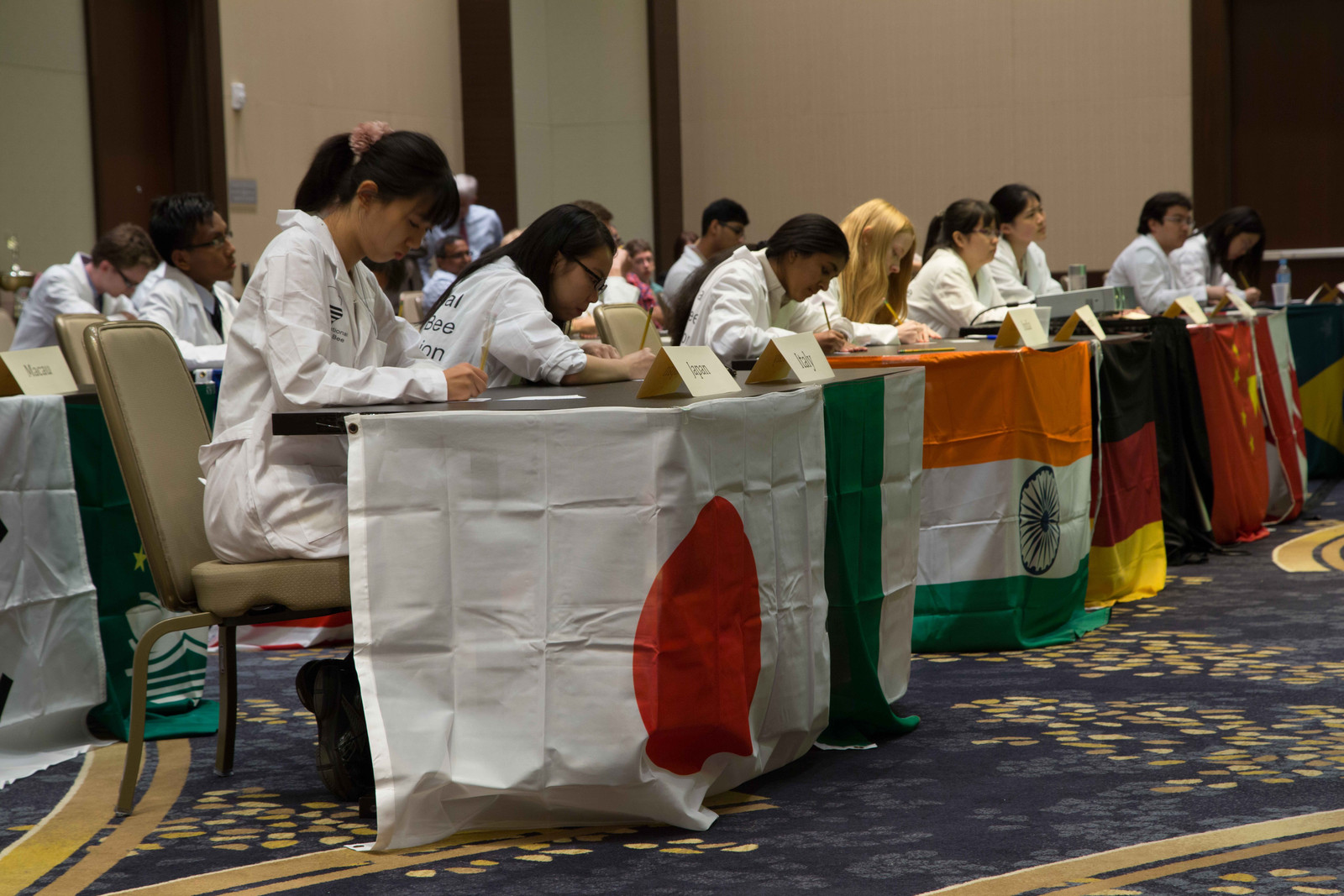 International Brain Bee