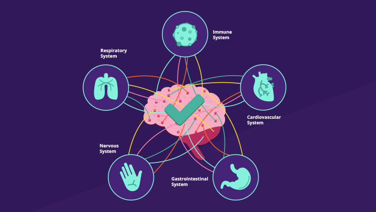 Brain diagram illustrating the connection between the brain and the other bodily systems