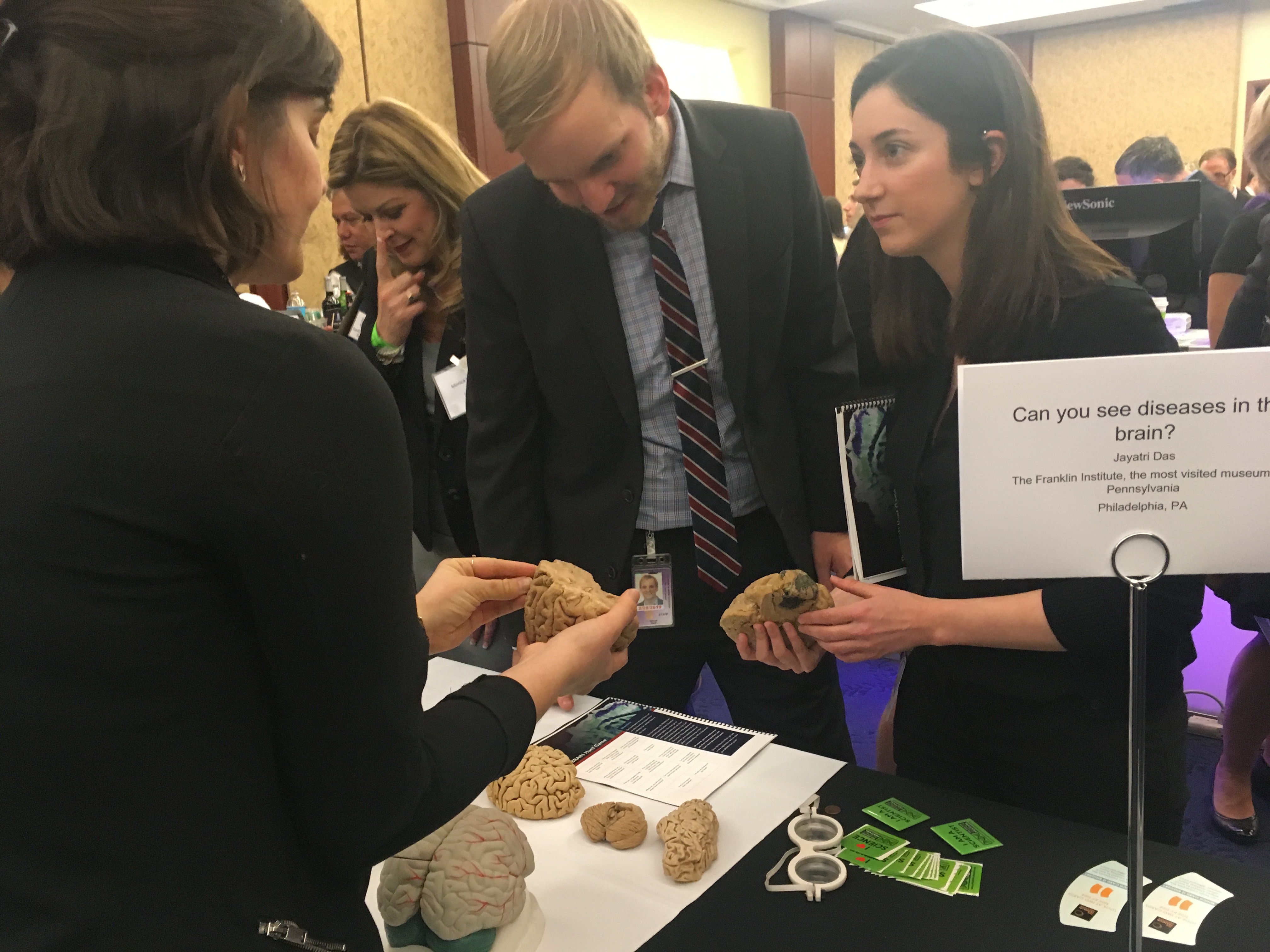 people looking at brain models at the 2018 Brain Fair table