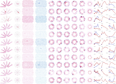 Data visualizations from the Allen Brain Observatory.