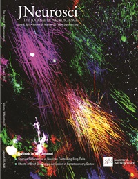 The June 6, 2018 cover of JNeurosci