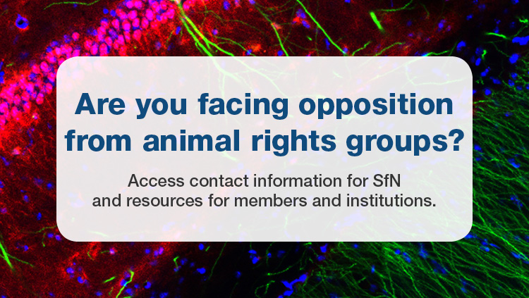 Animals in research advertisement "Are you facing opposition from animal rights groups? Access contact information for SfN and resources for members and institutions."