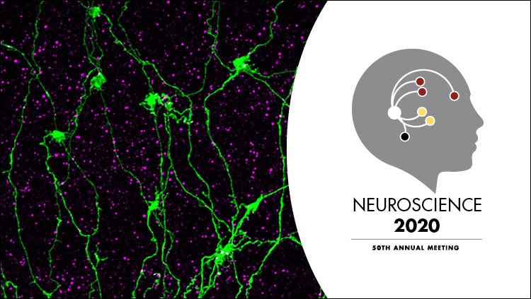 Neuroscience 2020 logo
