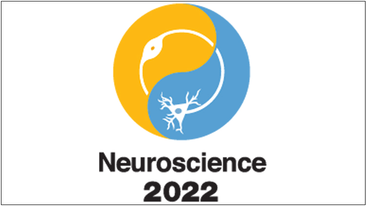 NS22 Logo