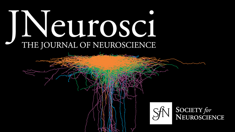 Four Unique Interneuron Populations Reside in Neocortical Layer 1