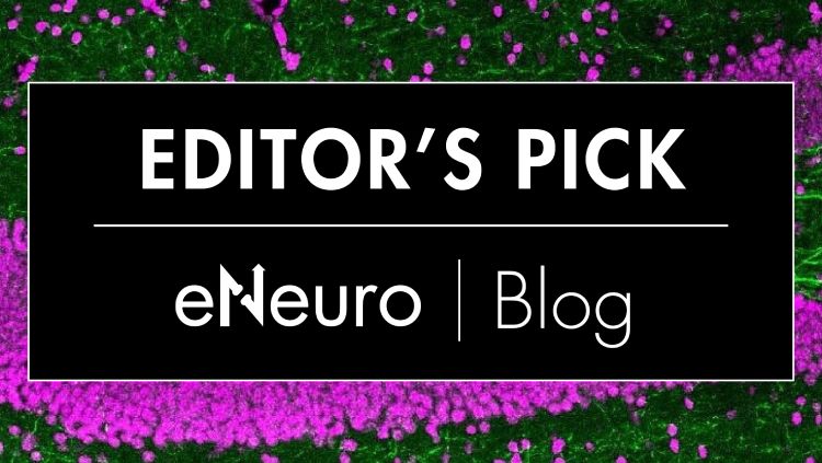 Celebrating the Birthday of AMPA Receptor Nanodomains