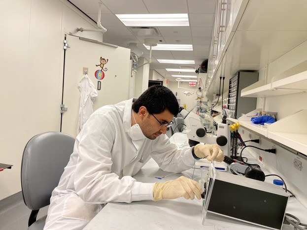 Saurabh Vyas, PhD, of Columbia University was awarded the 2021 Donald B. Lindsley Prize in Behavioral Neuroscience.