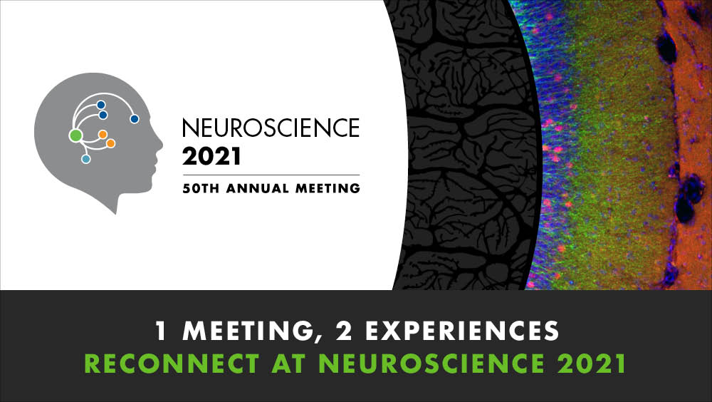 Image of the Neuroscience 2021 logo with the text "1 meeting, 2 experiences: Reconnect at neuroscience 2021"