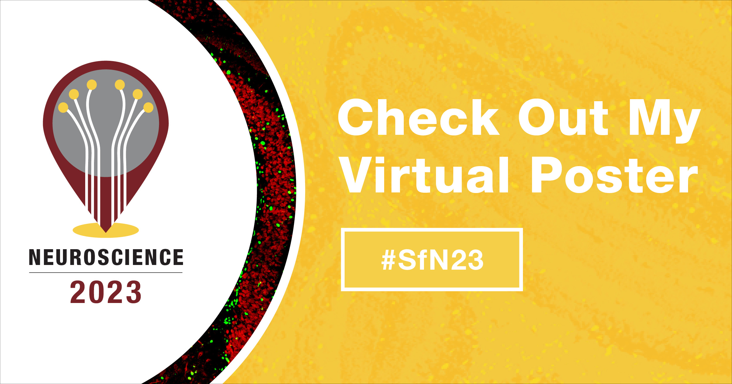 Image that says "Check Out My Virtual Poster" with the Neuroscience 2023 logo.