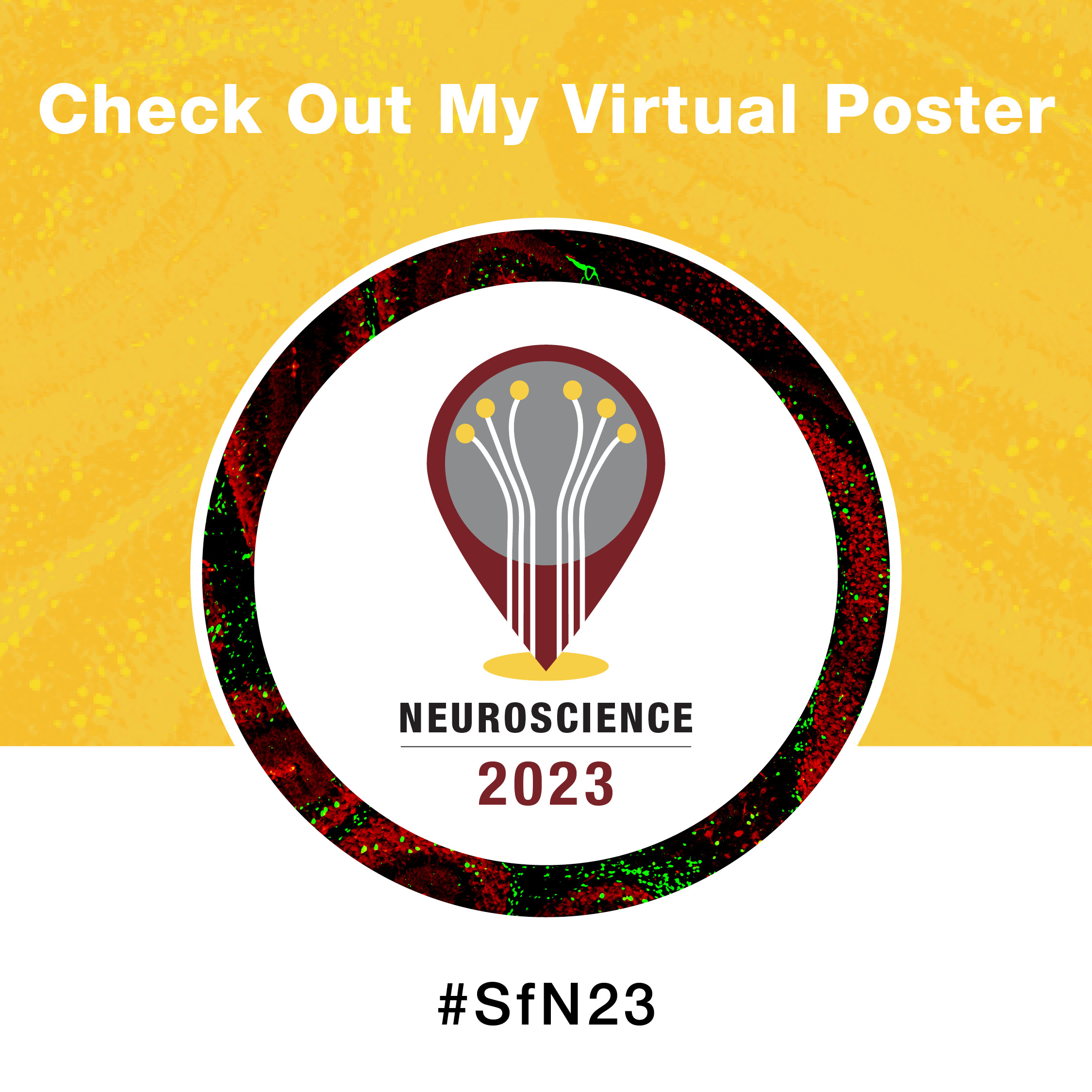Image that says "Check Out My Virtual Poster" with the Neuroscience 2023 logo.