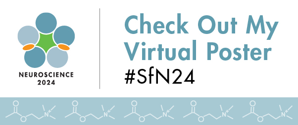 Graphic with Neuroscience 2024 logo and the words Check Out My Virtual Poster #SfN24
