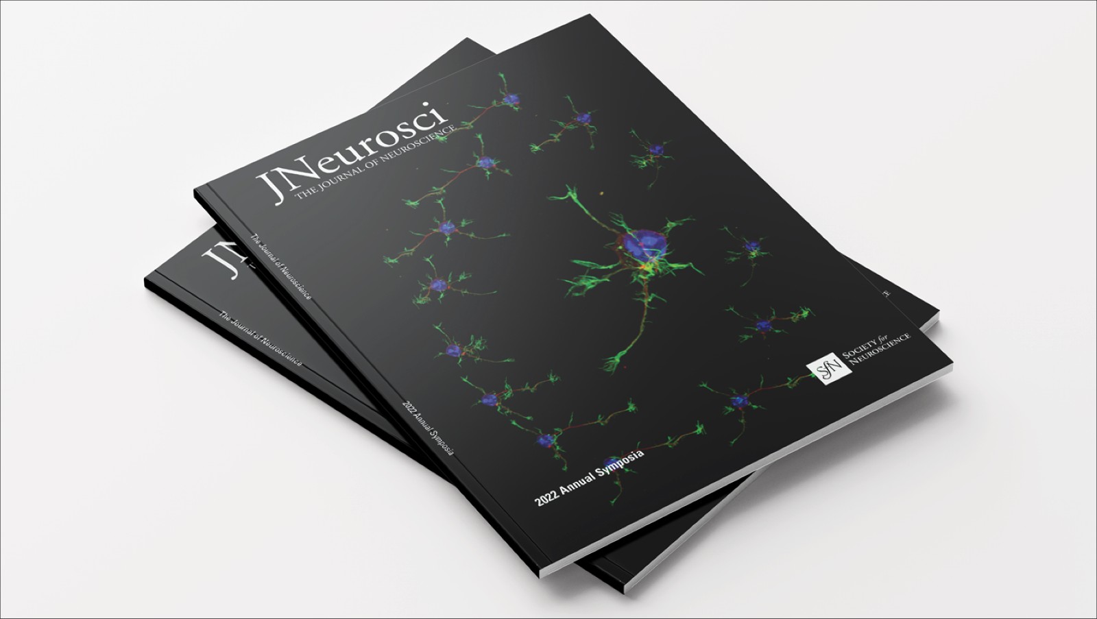 JN Special Issue