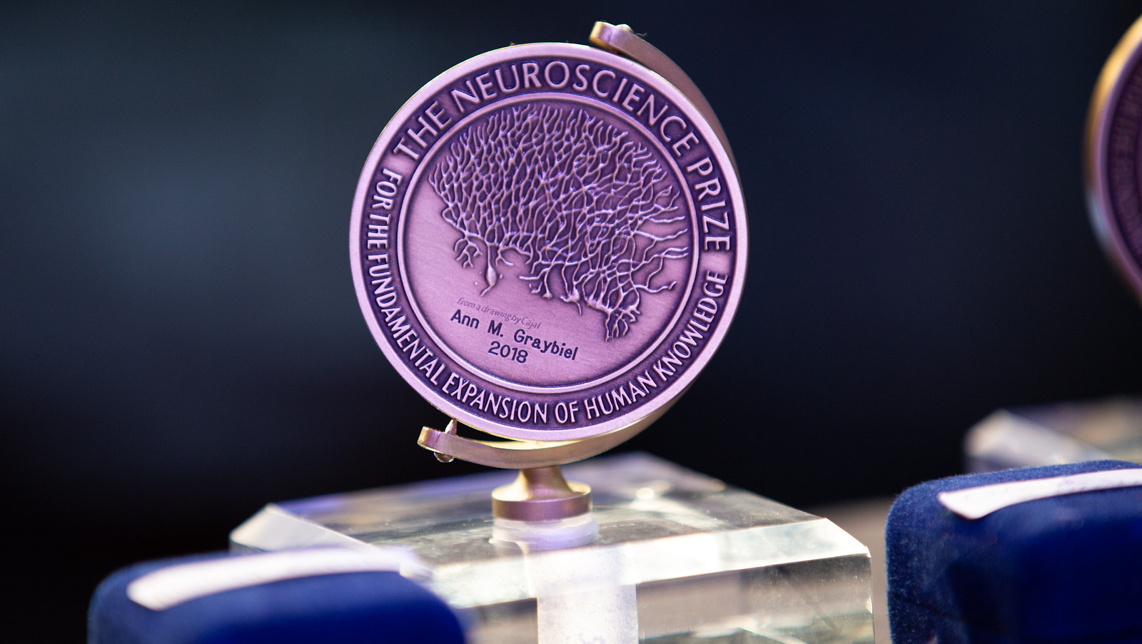 Ann M. Graybiel's the Neuroscience Prize for the Fundamental Expansion of Human Knowledge award