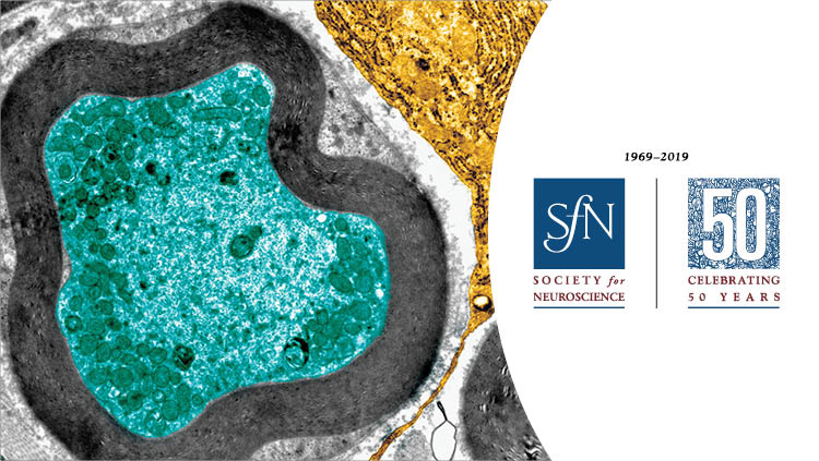 generic science image with SfN 50th anniversary logo