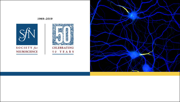 generic science image and SfN 50th Anniversary logo