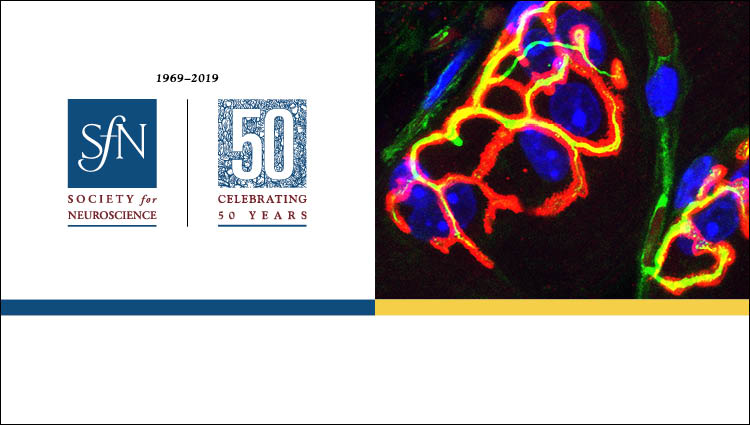 generic science image and SfN 50th Anniversary logo