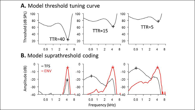 How noise and age affect brain's sound processing