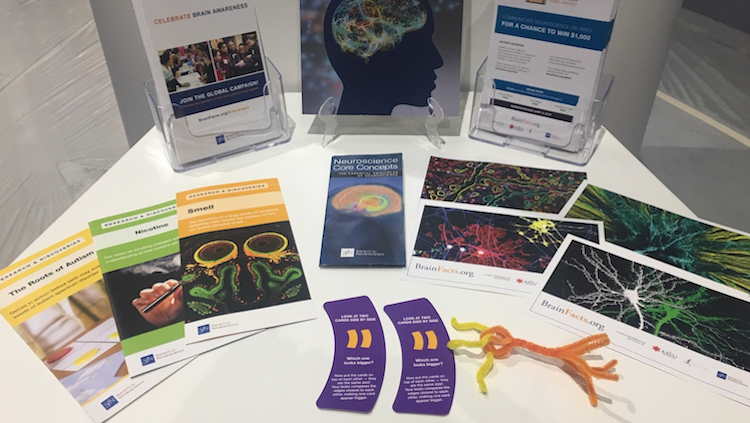 Pamphlets and other materials about increasing brain awareness at an Annual Meeting exhibit booth