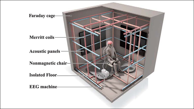 Schematic illustration of the experimental setup. The ∼1-mm-thick aluminum panels of the electrically-grounded Faraday shielding provides an electromagnetically “quiet” environment. Three orthogonal sets of square coils ∼2 m on edge, following the design of Merritt et al. (1983), allow the ambient geomagnetic field to be altered around the participant’s head with high spatial uniformity; double-wrapping provides an active-sham for blinding of experimental conditions (Kirschvink, 1992b). Acoustic panels on the wall help reduce external noise from the building air ventilation system as well as internal noise due to echoing. A non-magnetic chair is supported on an elevated wooden base isolated from direct contact with the magnetic coils. The battery-powered EEG is located on a stool behind the participant and communicates with the recording computer via an optical fiber cable to a control room ∼20 m away. 