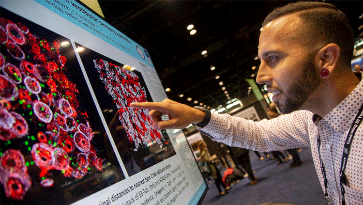Person looking at a digital poster presentation at SfN annual meeting