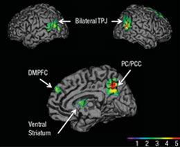Key brain areas involved in persuasion, including the temporoparietal junction (TPJ), the ventral striatum, and the medial prefrontal cortex (DMPFC).