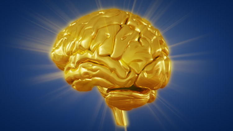 Image of a brain colored gold on a blue background.