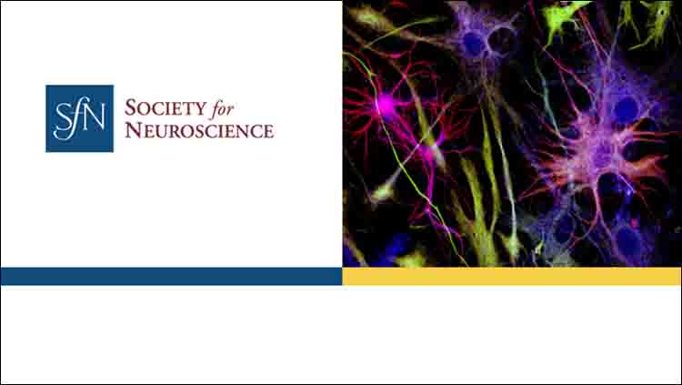 Society for Neuroscience logo next to scientific images of neurons
