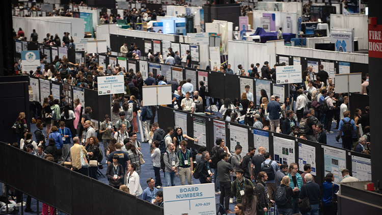 Attendees at the Neuroscience 2024